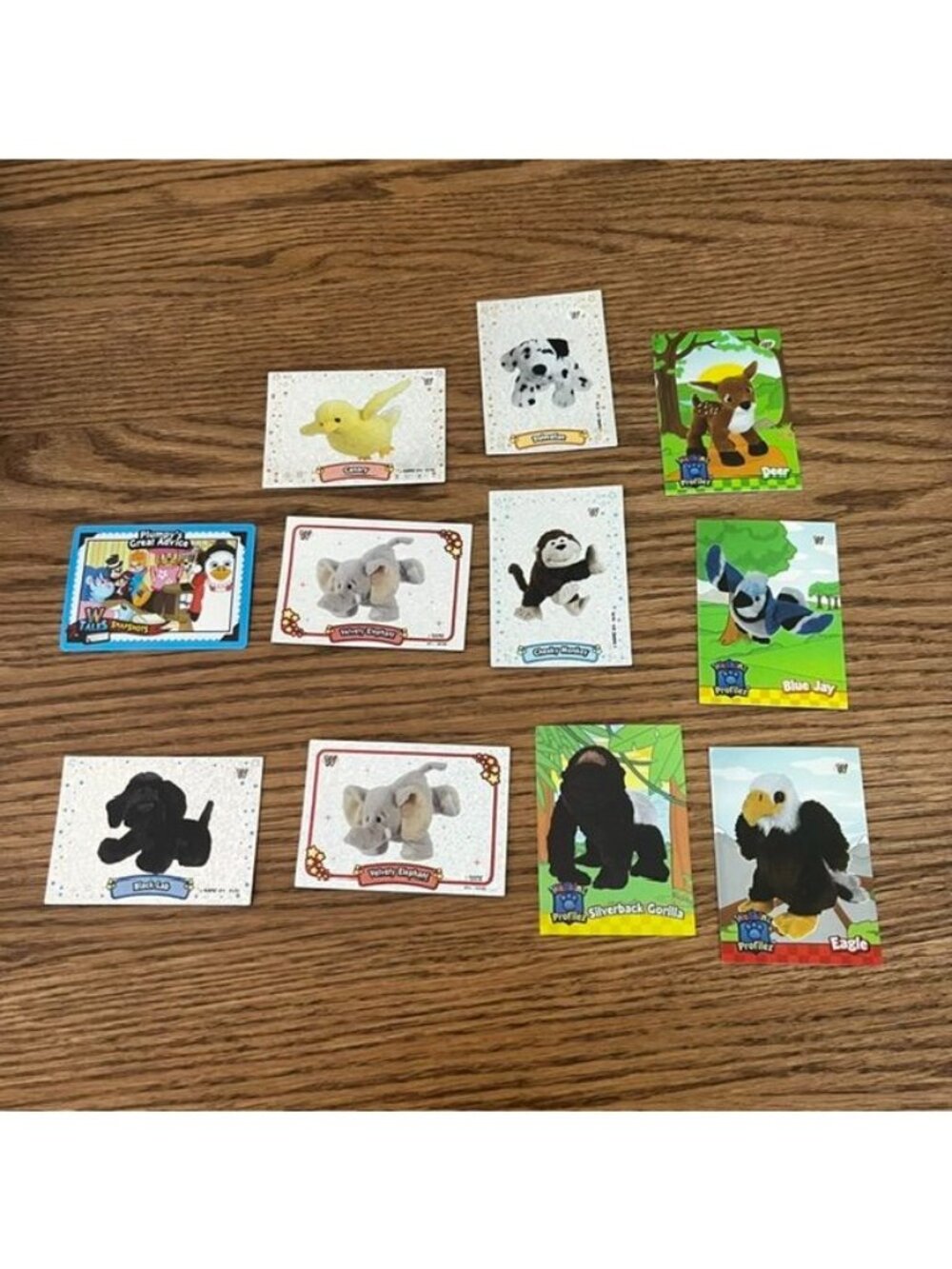 Webkinz Hollographic Stickers and Cards